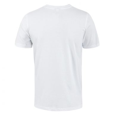 ea-t-hooliganslogowhite_01